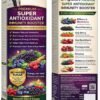 DRMEDILAB Premium Super Antioxidant Immunity Booster – Advanced Berry Formula (1000 ml)